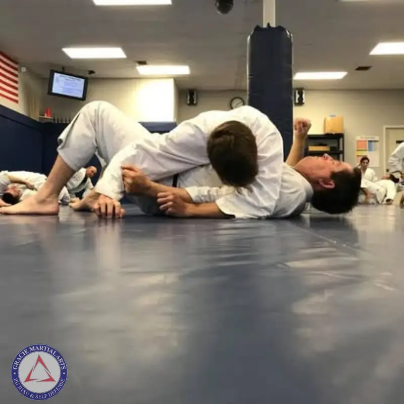 Gracie Martial Arts BJJ Academy - photo 2
