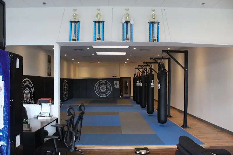 Gracie Randallstown Jiu Jitsu in Hillandale BJJ Academy - photo 1