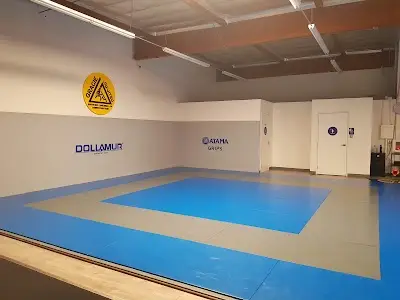 Gracie South Bay Jiu Jitsu BJJ Academy - photo 1