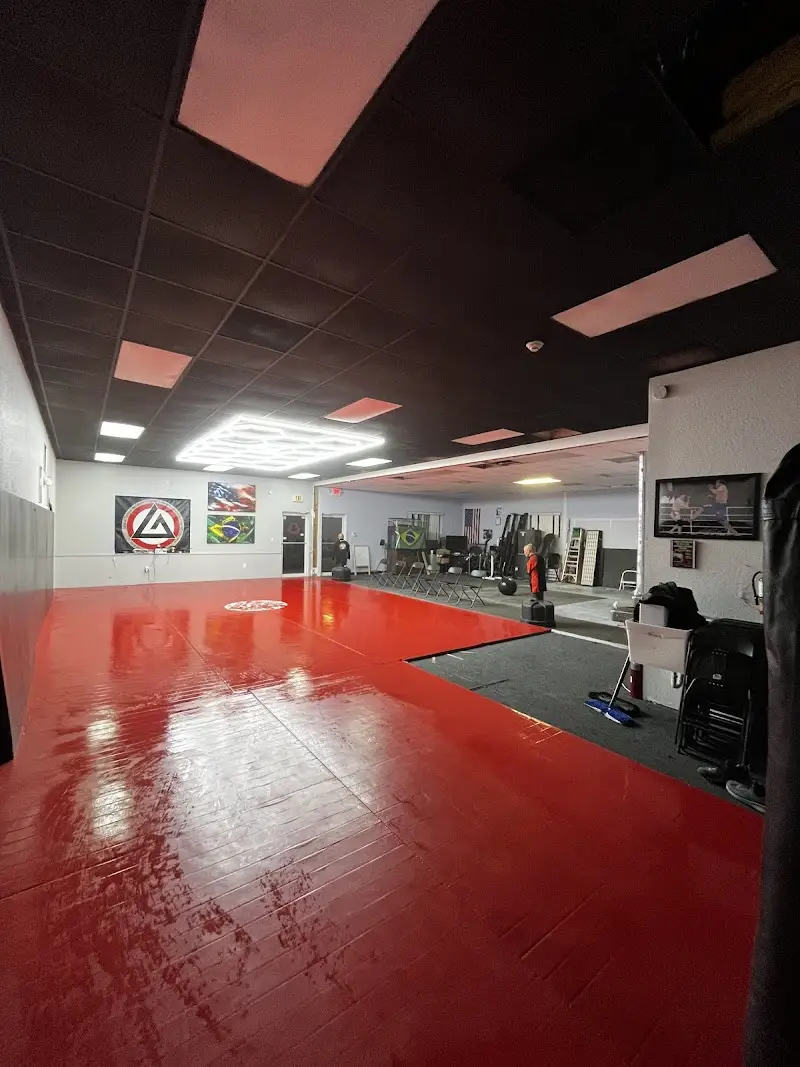 Gracie Spring Hill BJJ Academy - photo 1