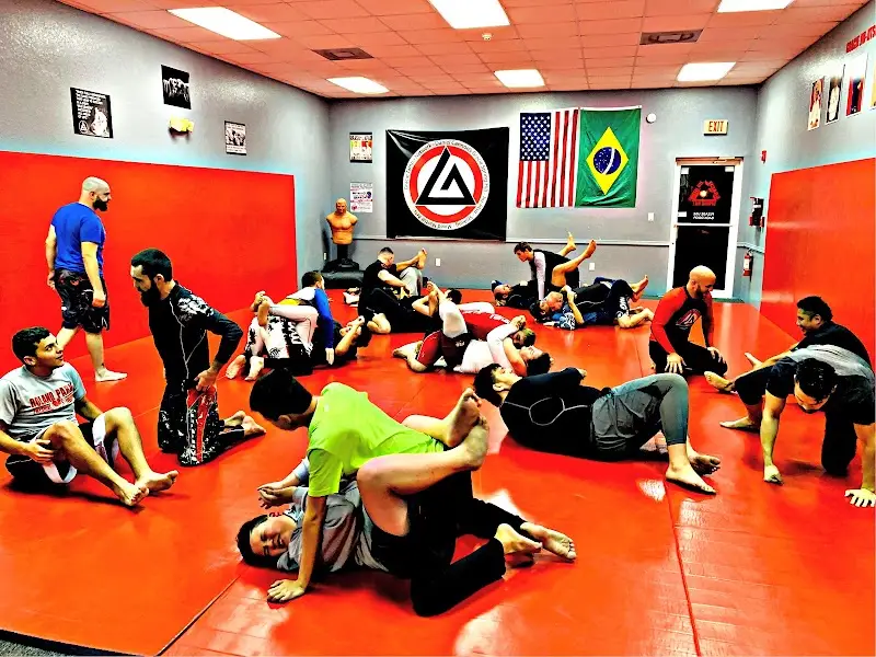 Gracie Spring Hill BJJ Academy - photo 2