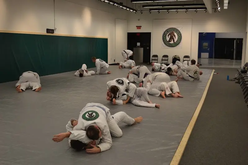 Gracie Stonewall Jiu Jitsu Academy BJJ Academy - photo 1