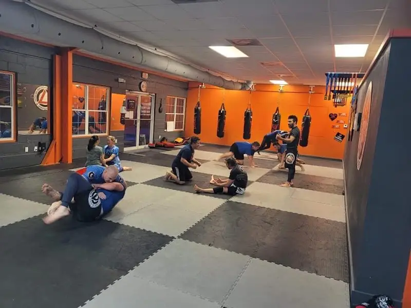 Gracie United-Team Jucao Brazilian Jiu-Jitsu BJJ Academy - photo 2