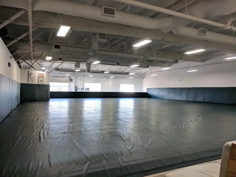 Gracie University of Jiu-Jitsu BJJ Academy - photo 1