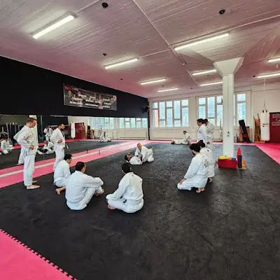 Gracie Zug Jiu Jitsu BJJ Academy - photo 1