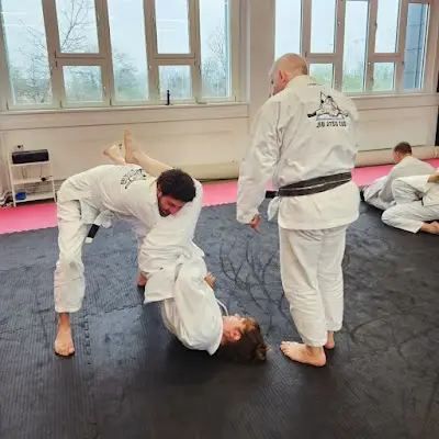 Gracie Zug Jiu Jitsu BJJ Academy - photo 2