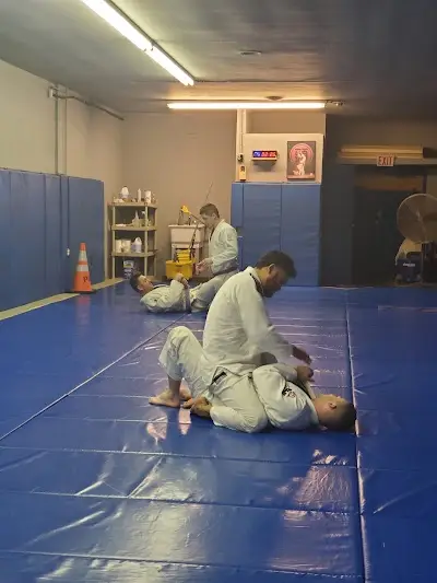 Graciephila Brazilian Jiu-Jitsu BJJ Academy - photo 3