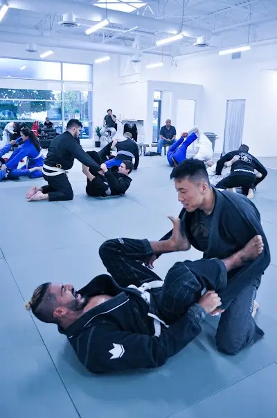 Grappling Arts Academy BJJ Academy - photo 1