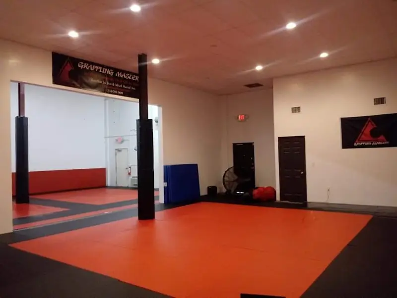 Grappling Mastery: BJJ & Muay Thai Academy BJJ Academy - photo 2