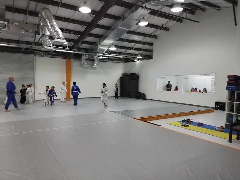 Grappling Zone BJJ Academy - photo 1