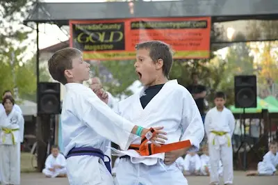 Grass Valley Kenpo Family Karate BJJ Academy - photo 3