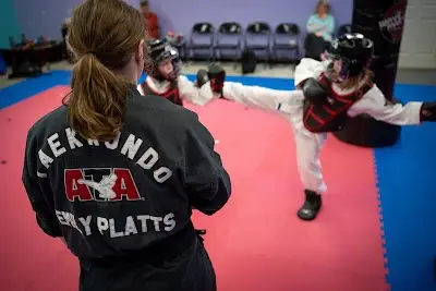 Gray Falcon Family Martial Arts