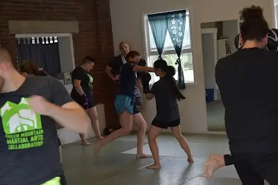 Green Mountain Martial Arts Collaborative LLC BJJ Academy - photo 1