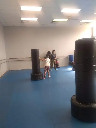 Greenville Academy of Martial Arts BJJ Academy - photo 1