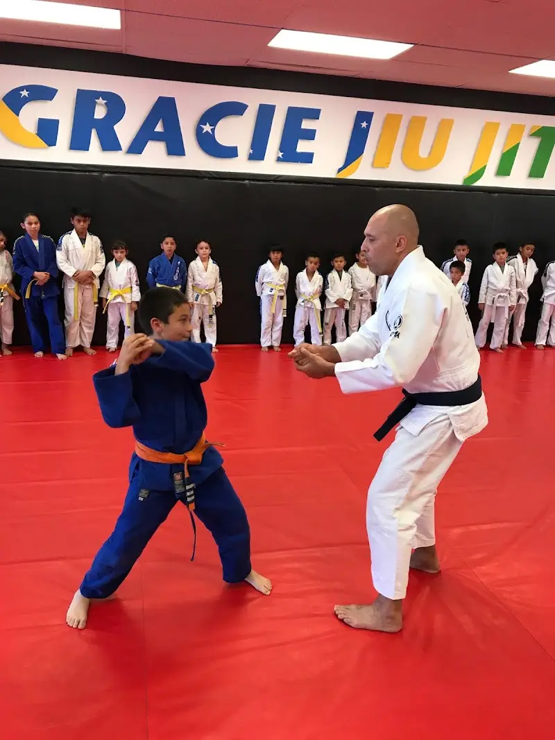 Gridlock Academy -Brazilian Jiu Jitsu Self Defense Boxing BJJ Academy - photo 2