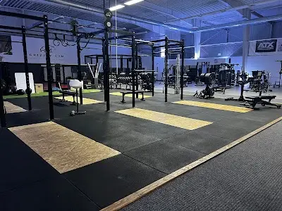 Grizzly Gym BJJ Academy - photo 1