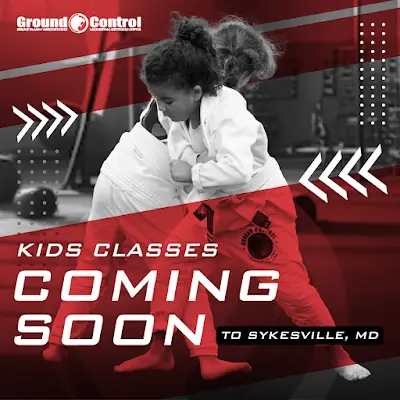 Ground Control MMA Sykesville BJJ Academy - photo 4