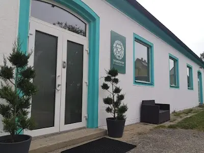 Groundfighter Linz BJJ Academy - photo 2