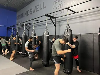 Groundswell MMA BJJ Academy - photo 1