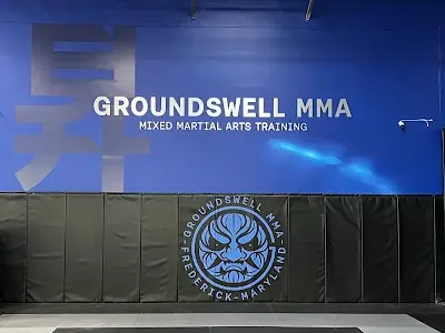 Groundswell MMA BJJ Academy - photo 4