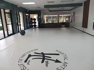 GT Brazilian Jiu-Jitsu (Formerly known as: Kronos Jiu-Jitsu )
