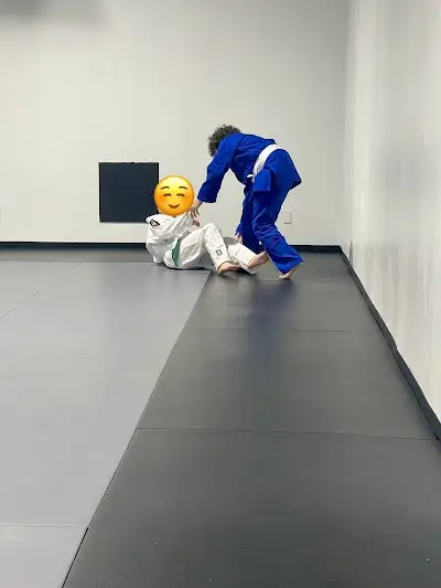 Guara BJJ - Jiu-Jitsu Brésilien Rive-Sud BJJ Academy - photo 2