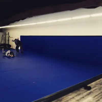 Guardian Jiujitsu & Wellness BJJ Academy - photo 4