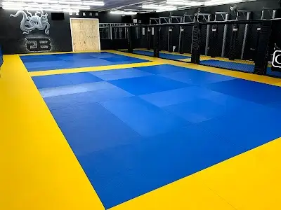 Gulf Breeze Brazilian Jiu Jitsu (Checkmat) BJJ Academy - photo 1