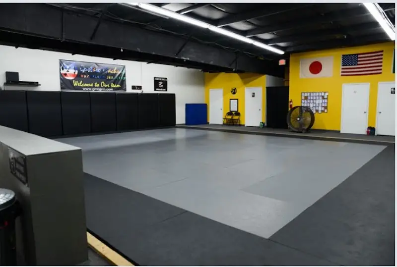 Gustavo Machado Brazilian Jiu-Jitsu Rocky Mount BJJ Academy - photo 1