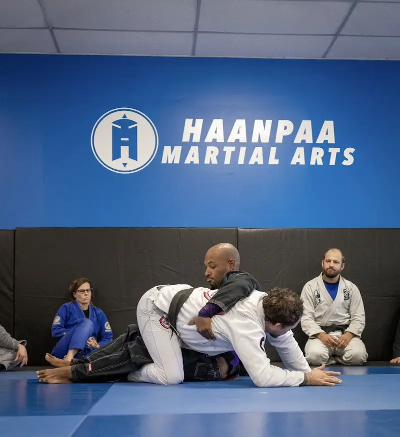 Haanpaa Martial Arts, Beloit BJJ Academy - photo 2