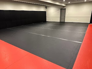 Inside Hamilton BJJ academy