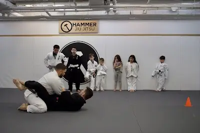 Hammer Jiu Jitsu BJJ Academy - photo 0