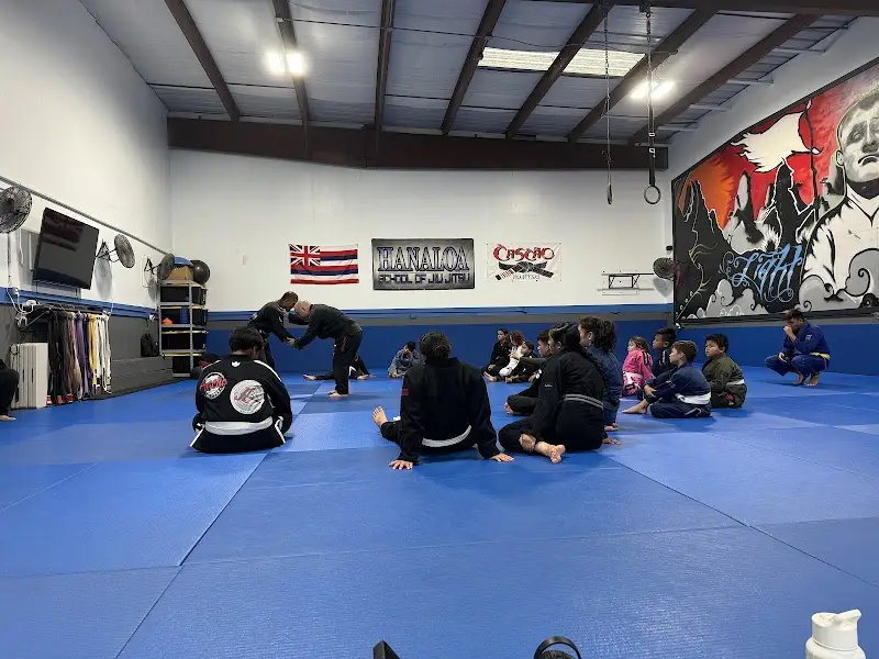 Hanaloa school of jiu-jitsu BJJ Academy - photo 1