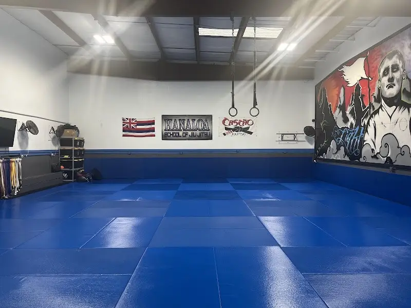 Hanaloa school of jiu-jitsu BJJ Academy - photo 2