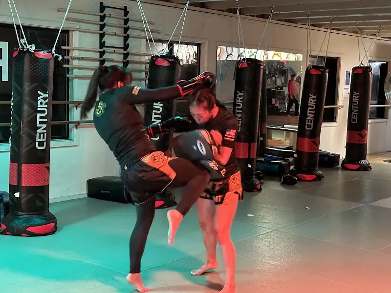 Hapkido USA-Colhado Brazilian Jiujitsu-Muay Thai-Eskrima BJJ Academy - photo 2
