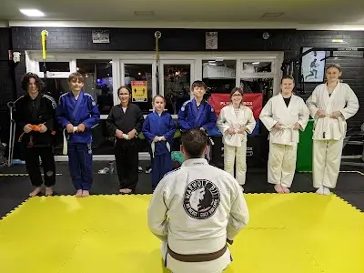 Harlow Combat Team BJJ Academy - photo 2