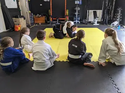 Harlow Combat Team BJJ Academy - photo 3