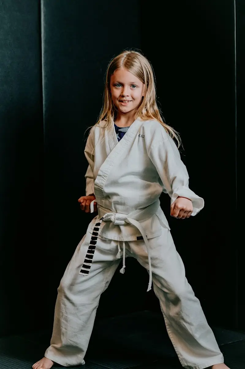 Harris Holt Martial Arts Academy BJJ Academy - photo 1