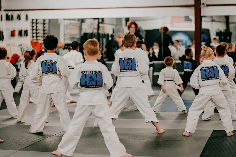 Harris Holt Martial Arts Academy BJJ Academy - photo 2