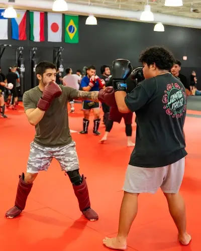HAVOC MMA BJJ Academy - photo 3