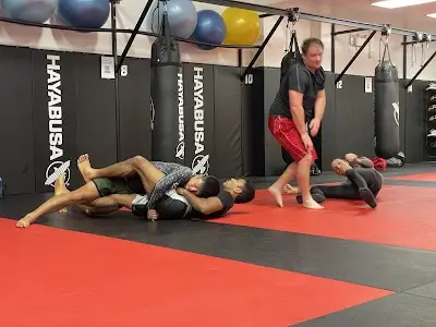 Hayabusa Academy BJJ Academy - photo 2
