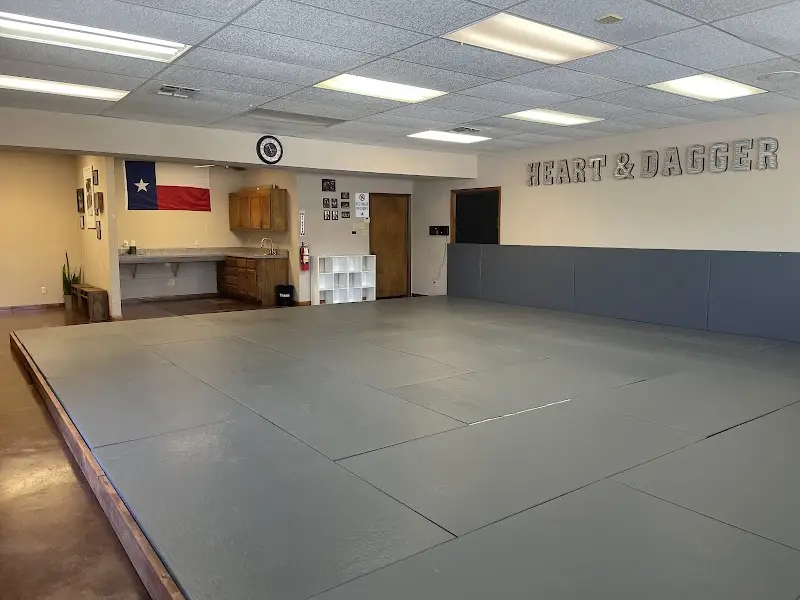 Heart & Dagger BJJ BJJ Academy - photo 1