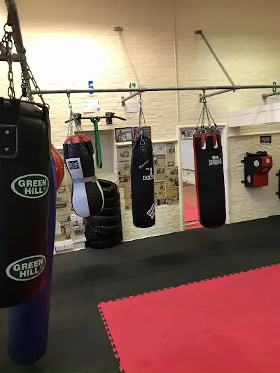 Heart of Portsmouth Boxing Academy BJJ Academy - photo 1