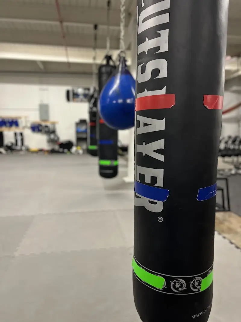 Heavy Hitters Club, LLC BJJ Academy - photo 1