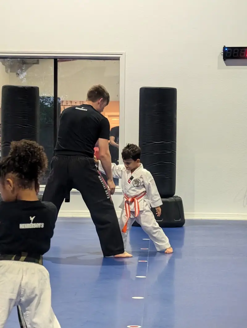 Henderson's Martial Arts BJJ Academy - photo 1