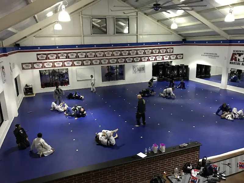 Henderson's Martial Arts BJJ Academy - photo 2