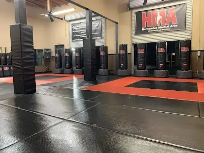 Hernandez Martial Arts BJJ Academy - photo 3