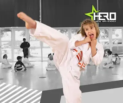 Hero Martial Arts Schools Southampton