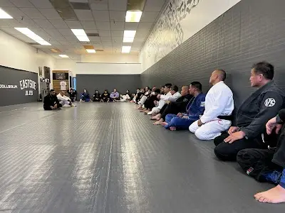 Heroes Martial Arts BJJ Academy - photo 2