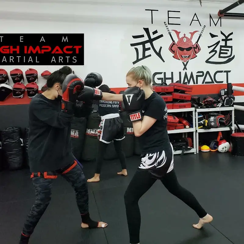 High Impact Martial Arts